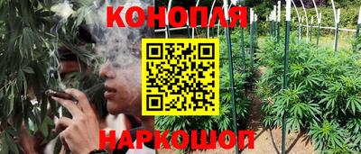 гидра Донецк